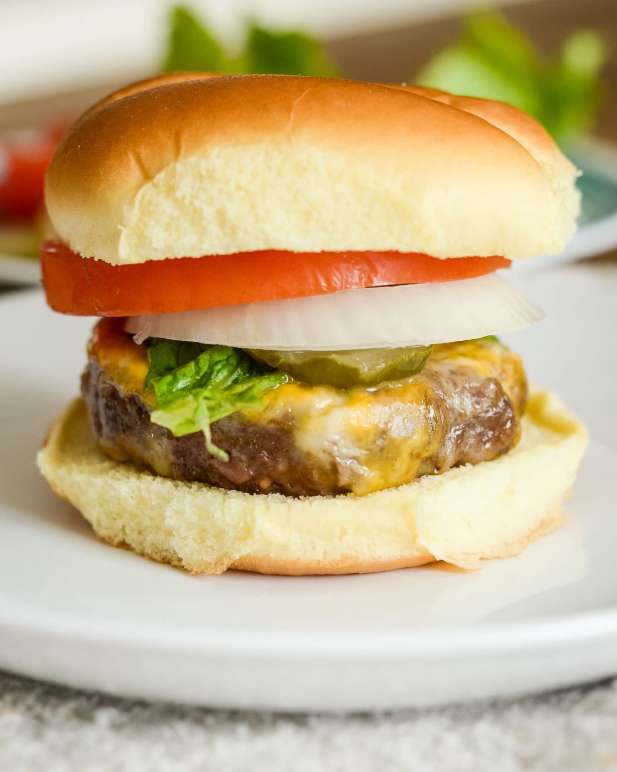 Air Fryer Onion Soup Mix Burgers Air Fryer Fanatics