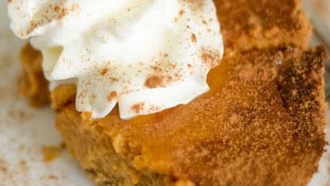 Popular Air Fryer Thanksgiving Recipes - Air Fryer Fanatics