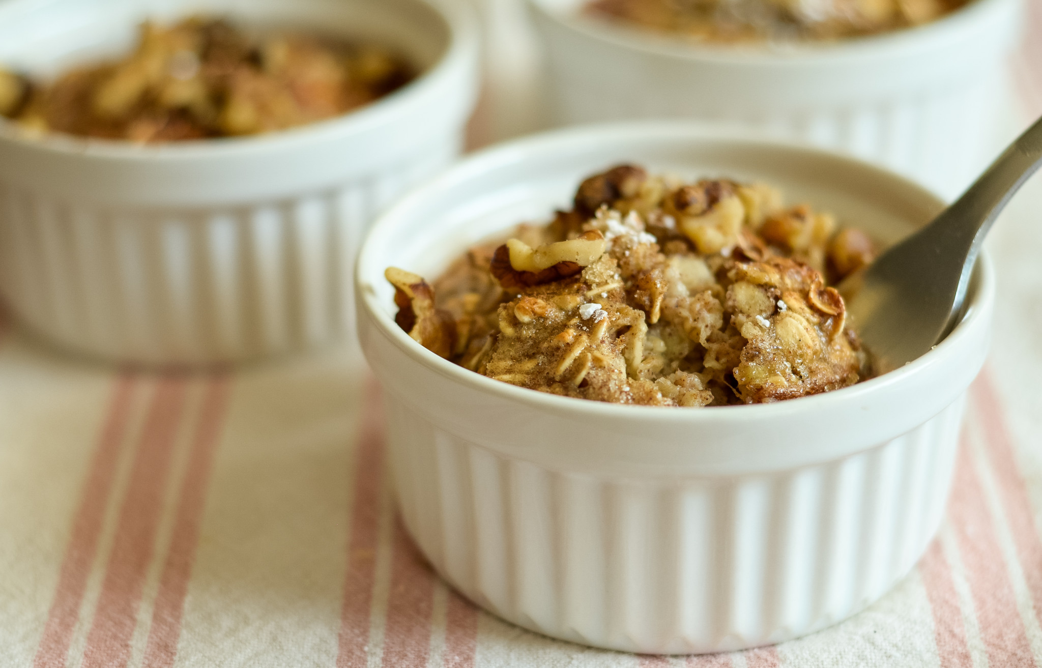 Air Fryer Baked Oatmeal Air Fryer Fanatics