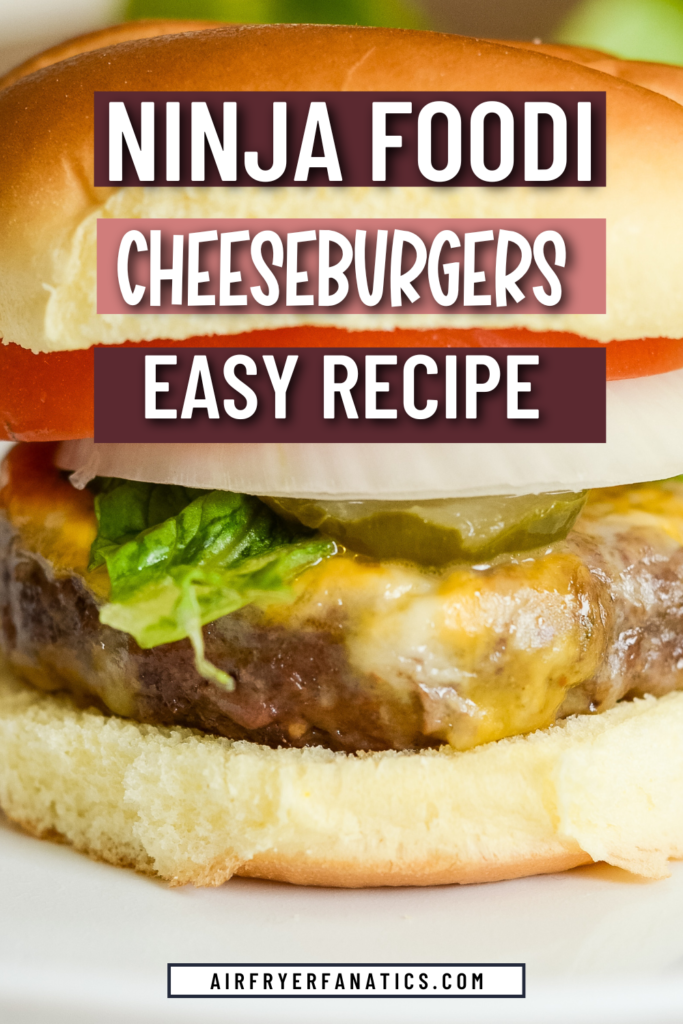 air fryer cheeseburger recipe