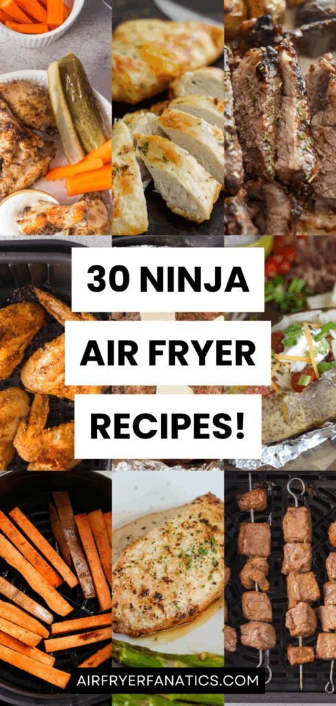 ninja air fryer recipes